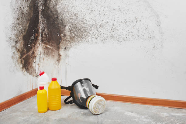 Water Damage Restoration in Osseo, MN