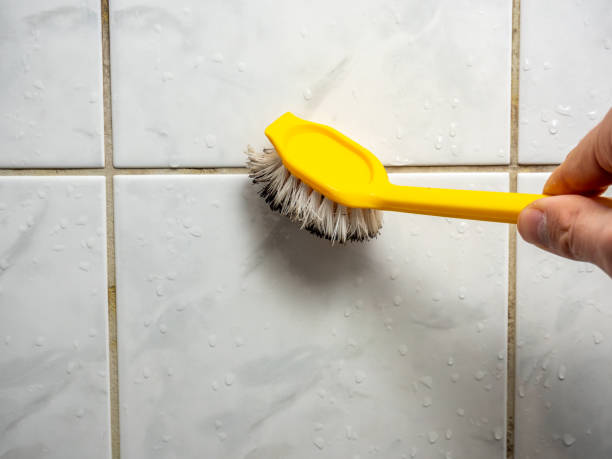 Best Commercial Mold Removal  in Osseo, MN